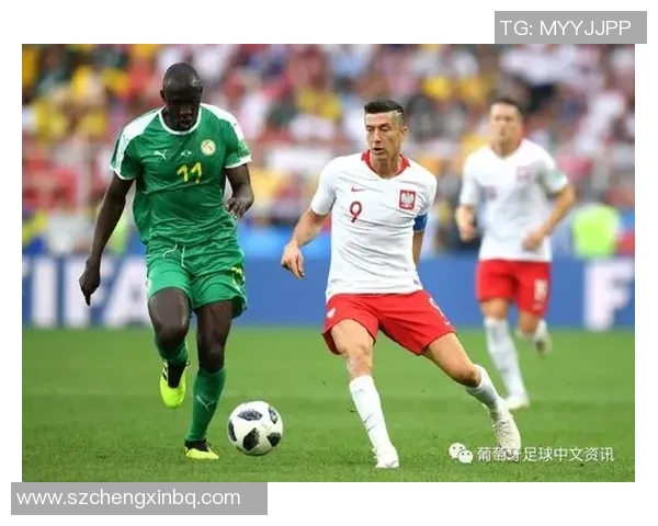 世界杯重播波兰与塞内加尔精彩对决回顾与分析