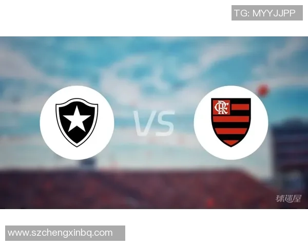 巴西甲联赛焦点战弗拉门戈迎战博塔弗戈期待精彩对决