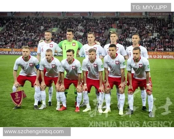 波兰与哥伦比亚比赛进球数分析与预测展望