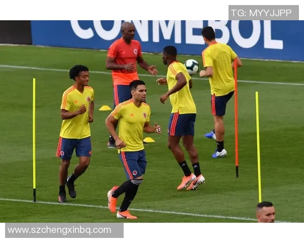 阿根廷与马里足球实力对比分析谁将赢得这场较量