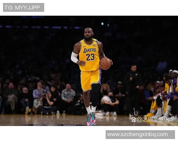 湖人对阵鹈鹕精彩回放第四节全景分析与关键时刻回顾